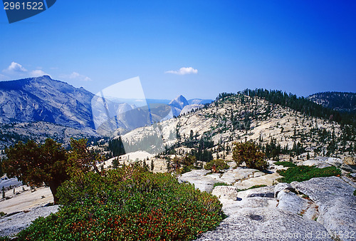 Image of Yosemite National Park