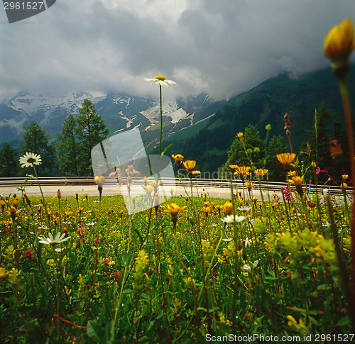 Image of Alpine Road