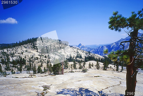 Image of Yosemite National Park