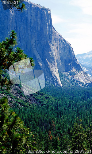 Image of  Yosemite National Park
