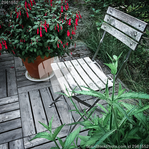 Image of Wooden chair and red fuchsia 