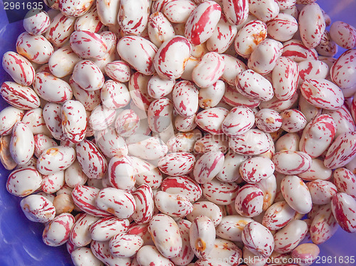 Image of Cranberry beans