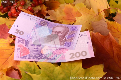 Image of ukrainian hryvnya money banknotes on autumn leaves
