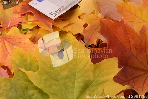 Image of Close up macro detail of euro money banknotes