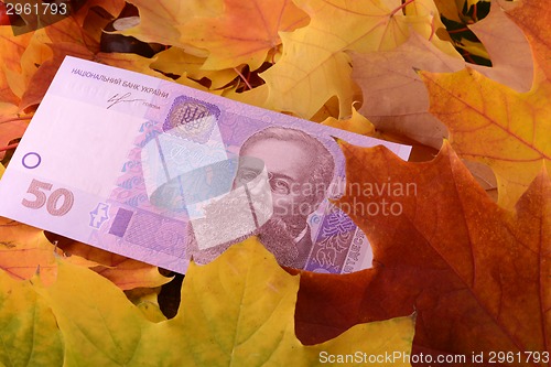 Image of ukrainian hryvnya money banknotes on autumn leaves