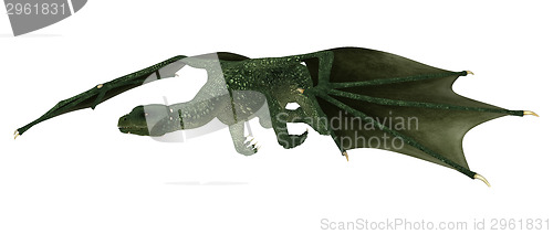 Image of Fantasy Dragon on White