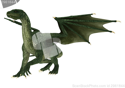 Image of Fantasy Dragon on White