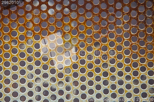 Image of Hole Mesh Pattern