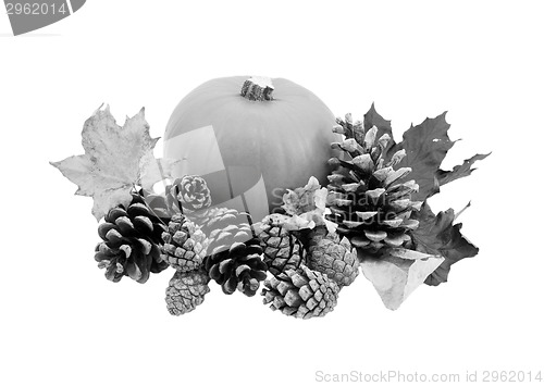 Image of Fall leaves and pine cones with a ripe pumpkin