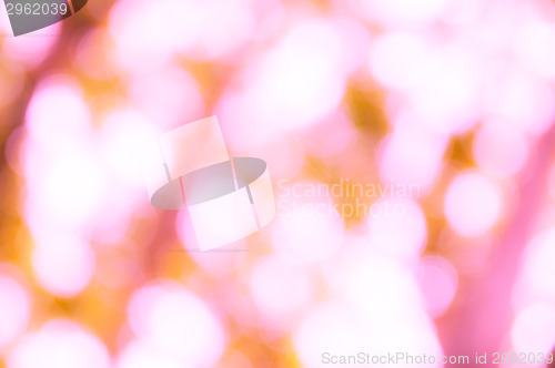 Image of Bokeh