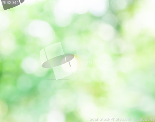 Image of Bokeh