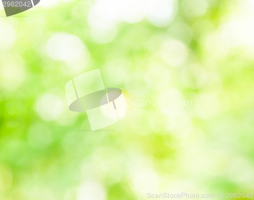 Image of Bokeh