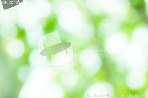 Image of Bokeh