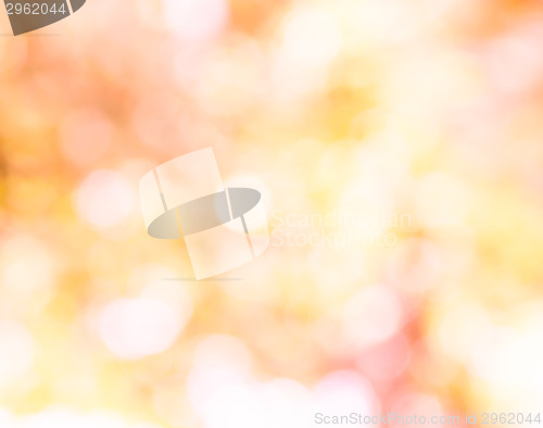 Image of Bokeh