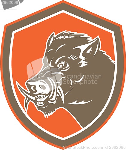 Image of Wild Boar Razorback Head Side Shield Retro