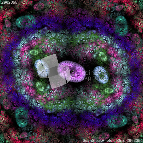 Image of Symmetrical growth of bacteria