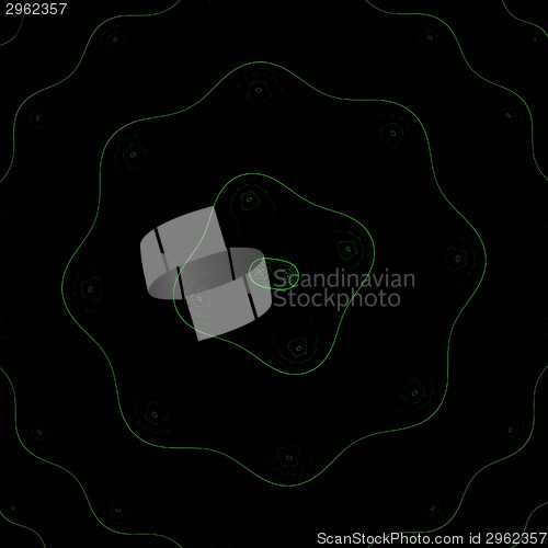 Image of Symmetrical growth of bacteria