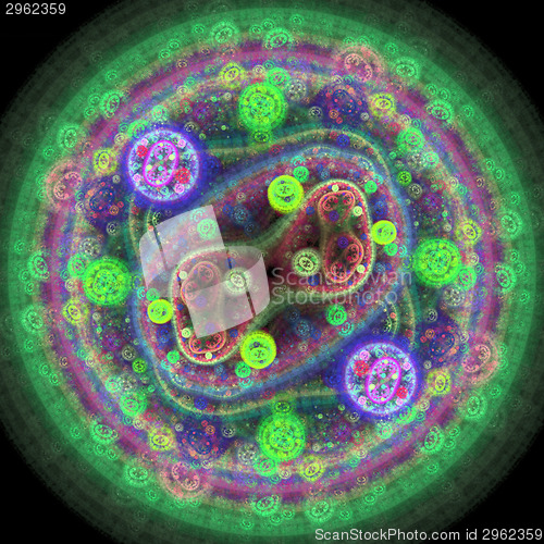 Image of Symmetrical growth of bacteria