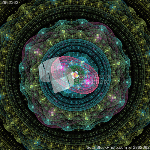 Image of Symmetrical growth of bacteria