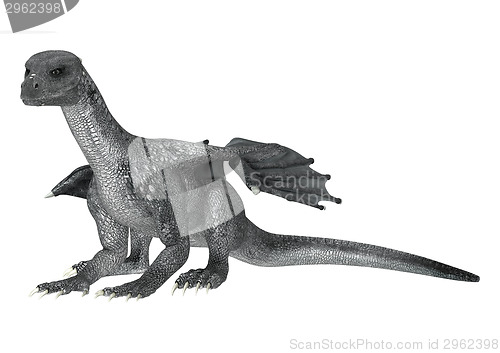 Image of Fantasy Dragon on White