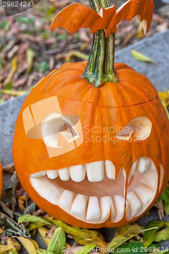 Image of Halloween pumpkin