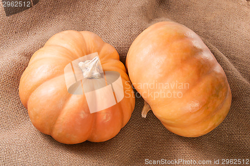 Image of Two Pumpkins On Sackcloth