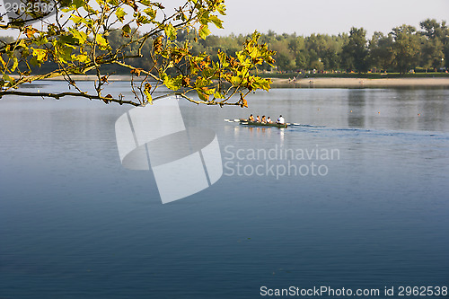 Image of Rowing in the calm lake