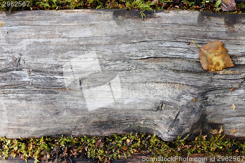 Image of Weathered wooden plank, edged by lush moss