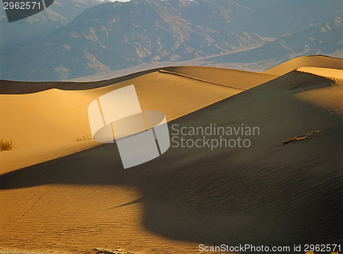 Image of Sand Dunes