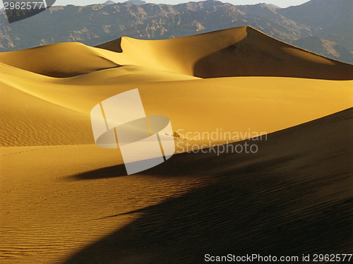 Image of Sand Dunes