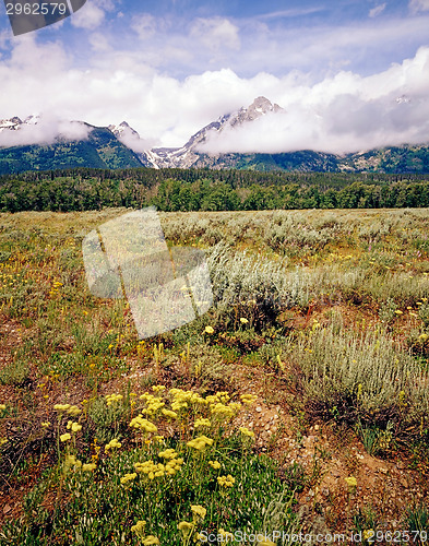 Image of Grand Teton,Wyoming