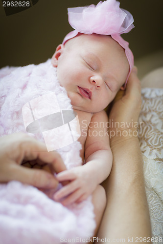 Image of Hands of Mother Holding Her Newborn Baby Girl