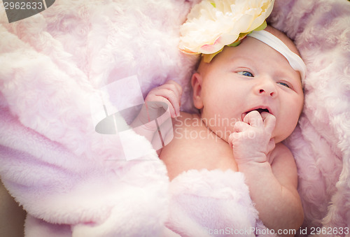 Image of Beautiful Newborn Baby Girl Laying in Soft Blanket