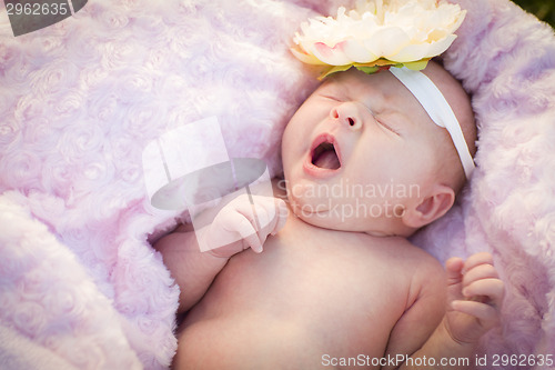 Image of Beautiful Newborn Baby Girl Laying in Soft Blanket