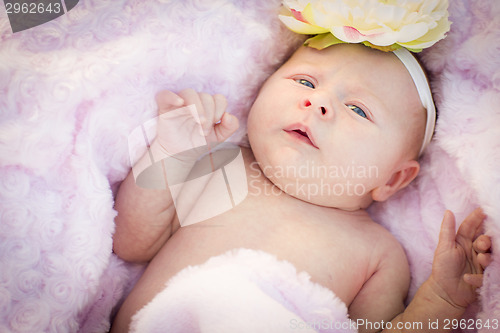 Image of Beautiful Newborn Baby Girl Laying in Soft Blanket