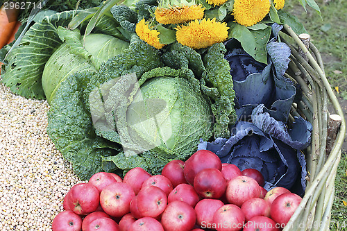 Image of Fruit and vegetable in basket