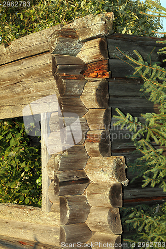 Image of nature eating old wooden building