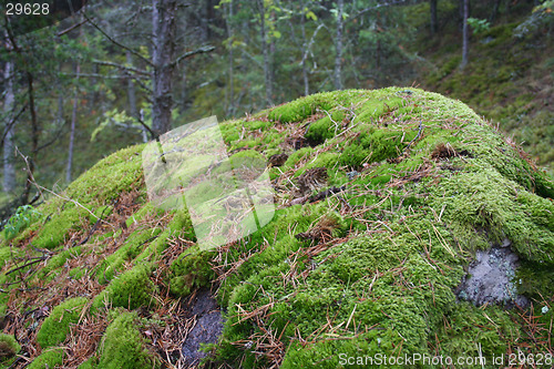 Image of Big stone