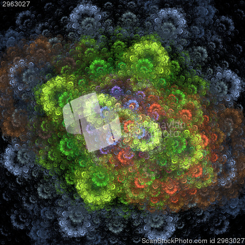 Image of Symmetrical growth of bacteria