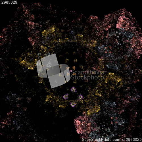 Image of Symmetrical growth of bacteria