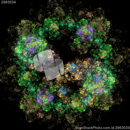 Image of Symmetrical growth of bacteria