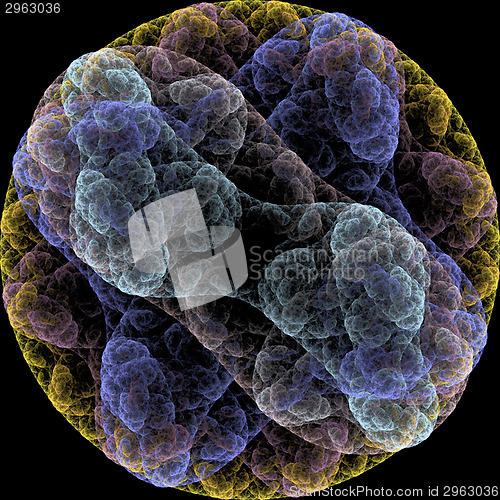 Image of Symmetrical growth of bacteria