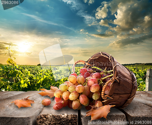 Image of Grapes on table