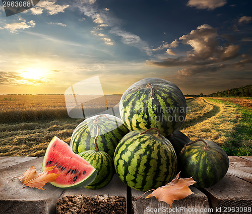 Image of Watermelons on a table