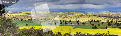 Image of Fields of Canola and farmlands panorama