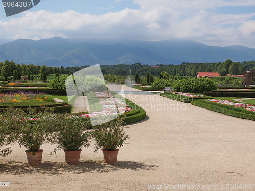 Image of Reggia di Venaria gardens