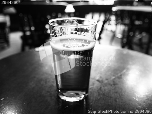 Image of Pint of beer