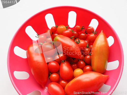 Image of Tomato vegetable