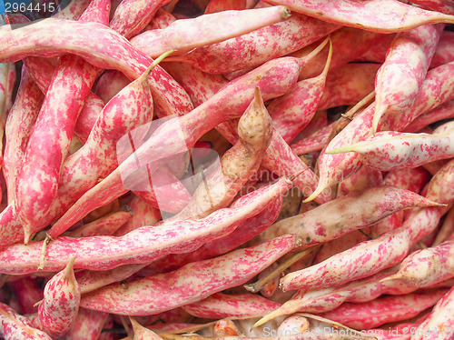 Image of Cranberry beans