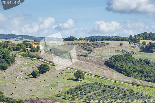 Image of Beautiful landscape Tuscany